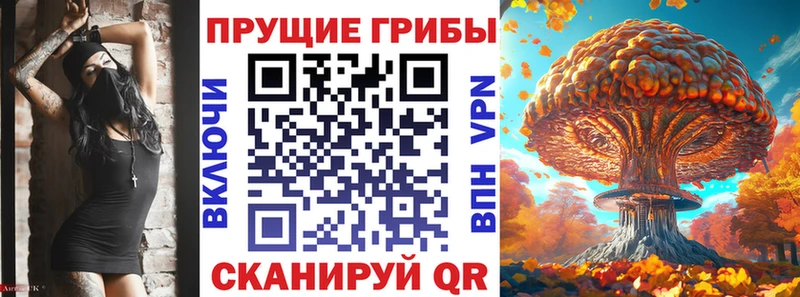 Псилоцибиновые грибы GOLDEN TEACHER  Сертолово 